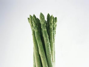 新鲜蔬菜 绿色生活与自然食材的完美融合