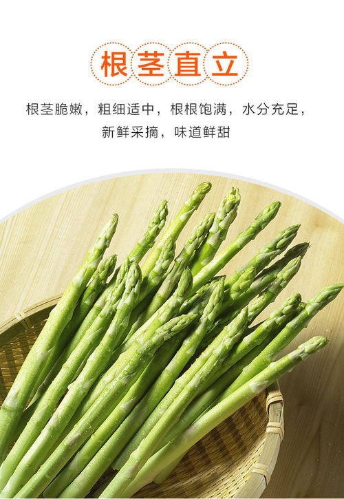 芦笋新鲜蔬菜 从山东田野到餐桌的绿色馈赠
