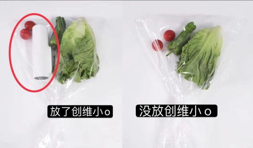 最可怕的冰箱食品头号杀手 当新鲜蔬菜悄悄变成‘隐形炸弹’